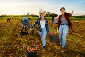 farmers in 2026