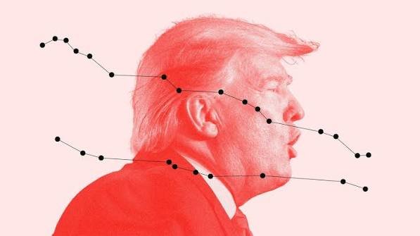 donald trump state level polling